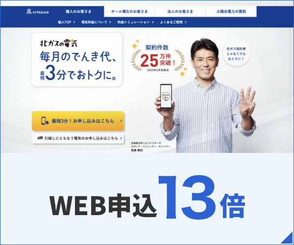 北海道ガス株式会社様 電気申込LPの戦略設計・制作支援